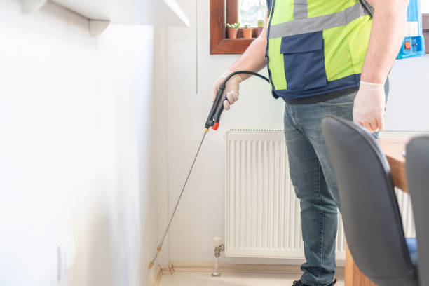 Best Pest Removal Services  in Maryland Heights, MO