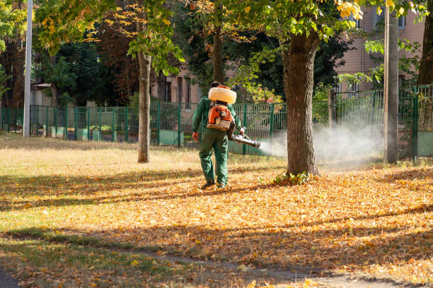 Professional Pest Control in Maryland Heights, MO